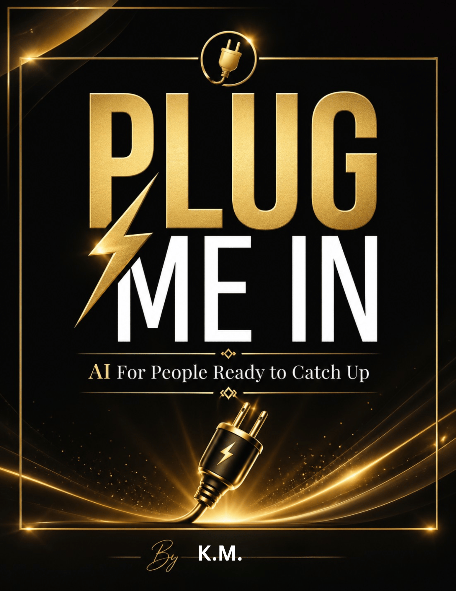 Plug Me In - Payhip