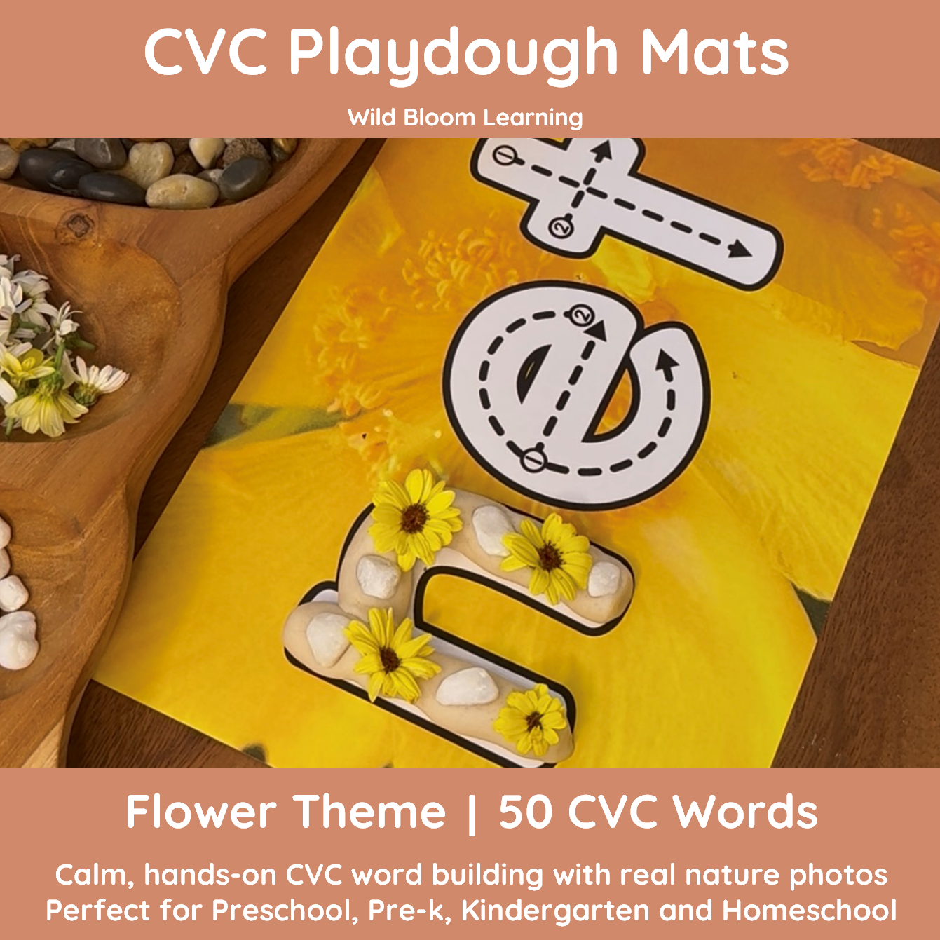 CVC Playdough Mats | Short Vowel Word Building, Reading & Writing | 50 ...
