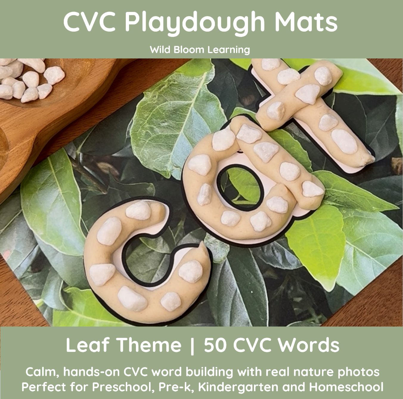 CVC Playdough Mats | Short Vowel Word Building, Reading & Writing | 50 ...