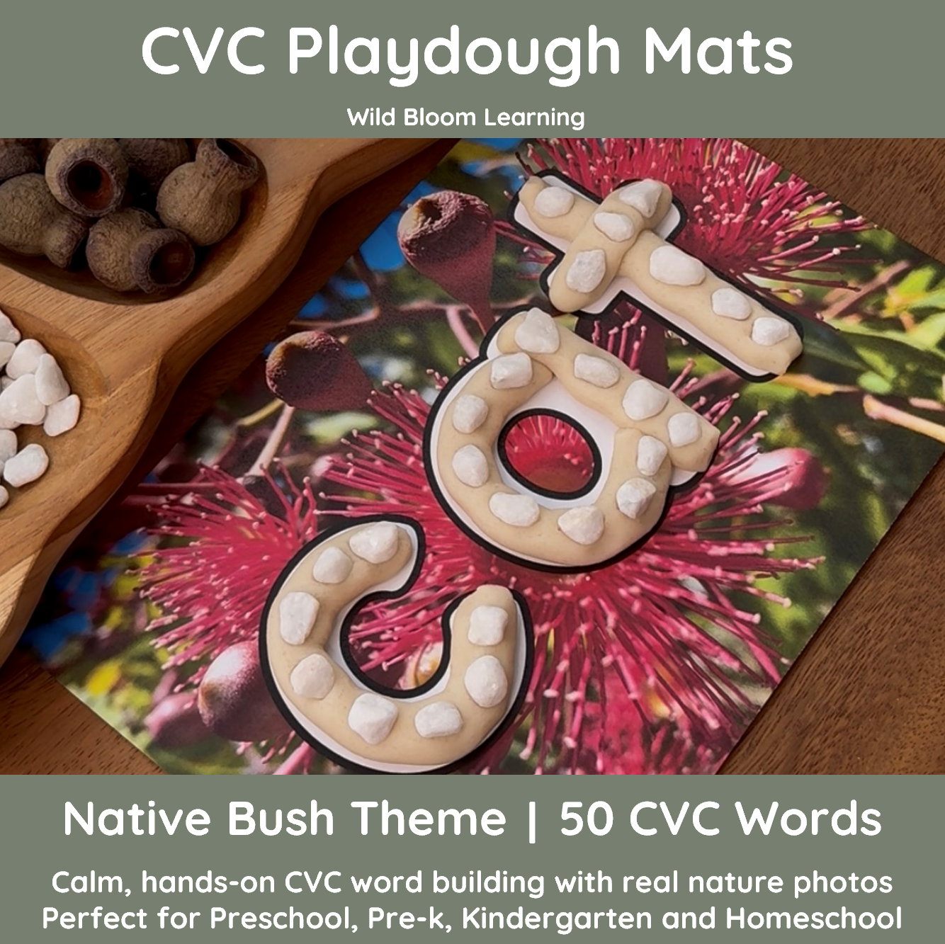 CVC Playdough Mats | Short Vowel Word Building, Reading & Writing | 50 ...