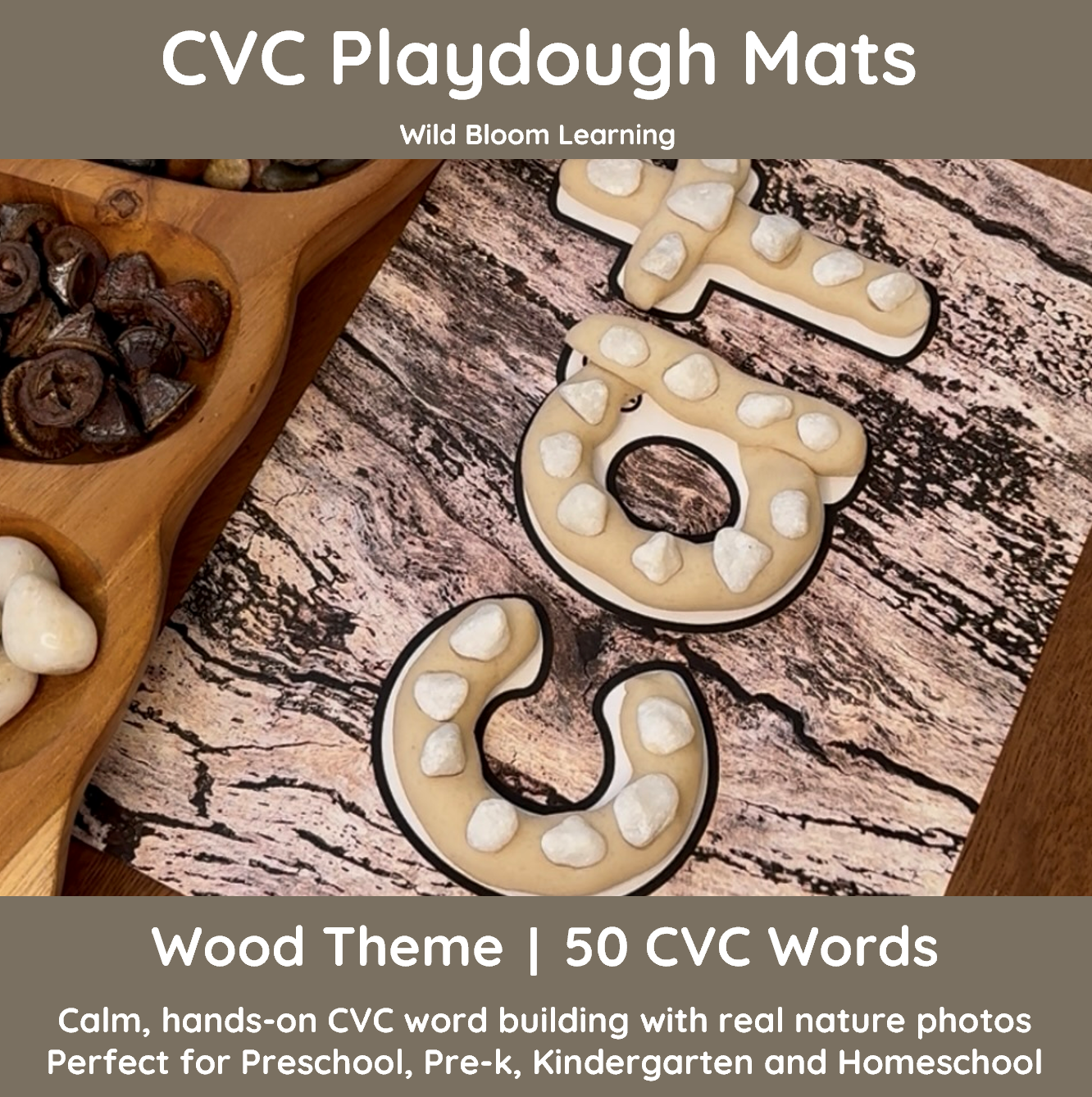CVC Playdough Mats | Short Vowel Word Building, Reading & Writing | 50 ...