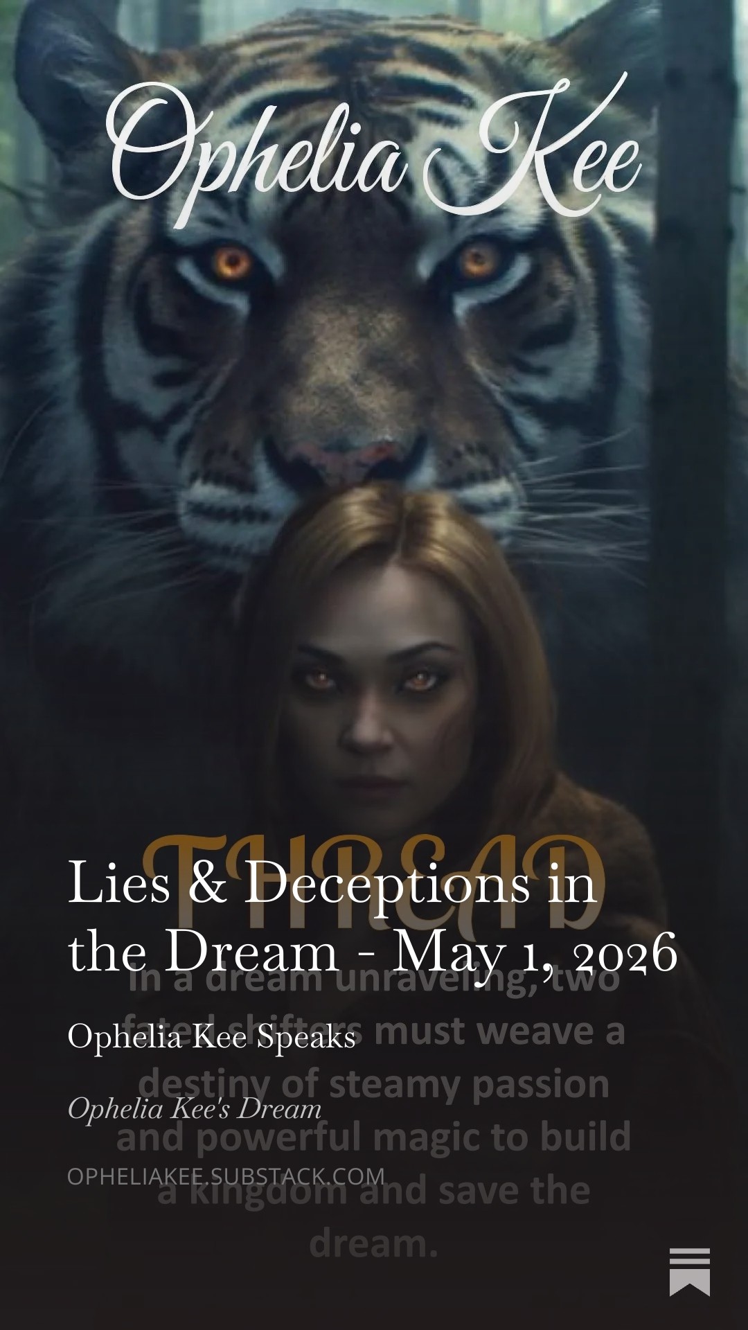 Lies & Deceptions in the Dream post art
