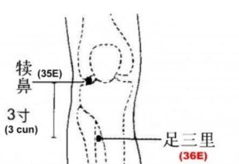 E36 - Zu San Li - 3 Lieues de la Jambe
