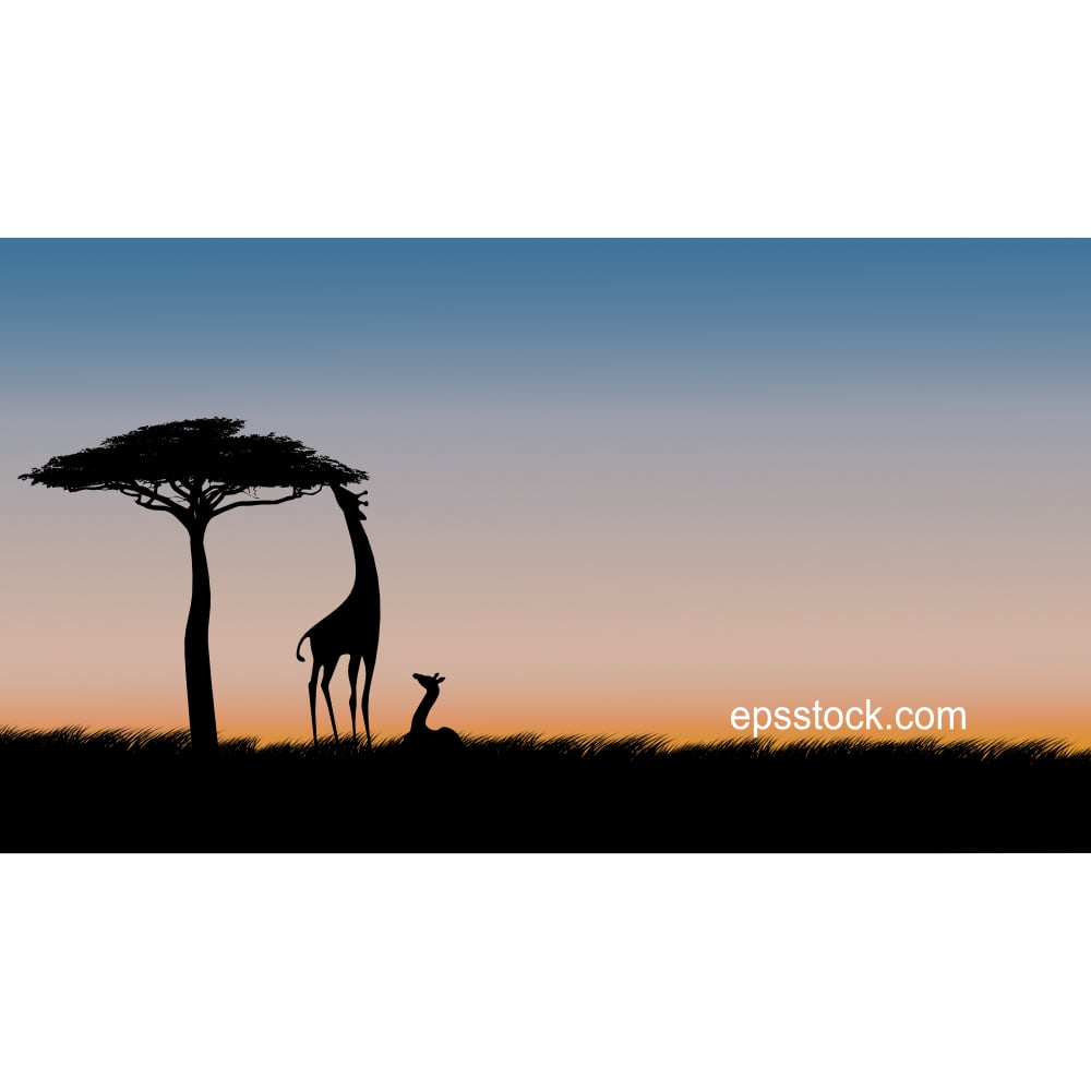 giraffe on safari at sunset, color vector illustration