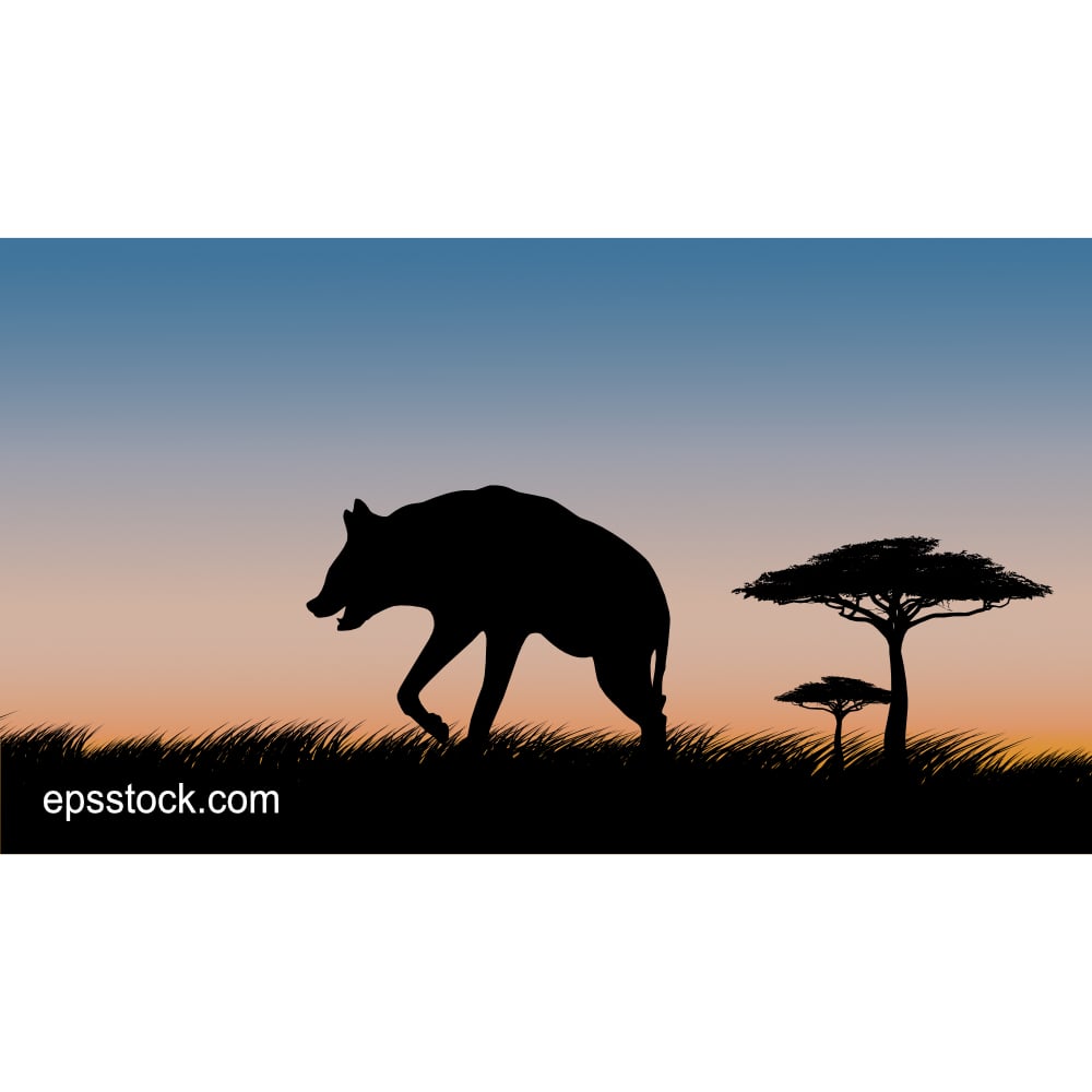 Hyena on safari at sunset, color vector illustration