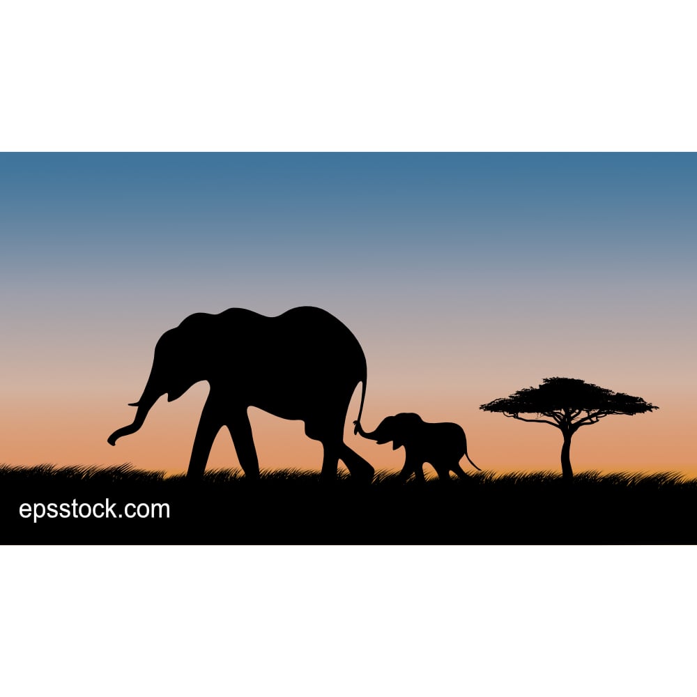 Baby elephant holding on to mother's tailon safari at sunset, color vector illustration