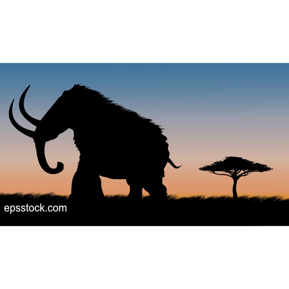 Mammoth on safari at sunset, color vector illustration