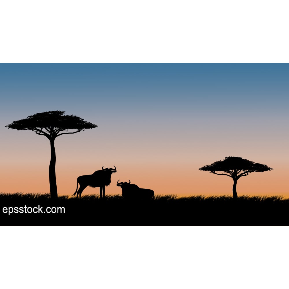 Gnu antelope on safari at sunset, color vector illustration