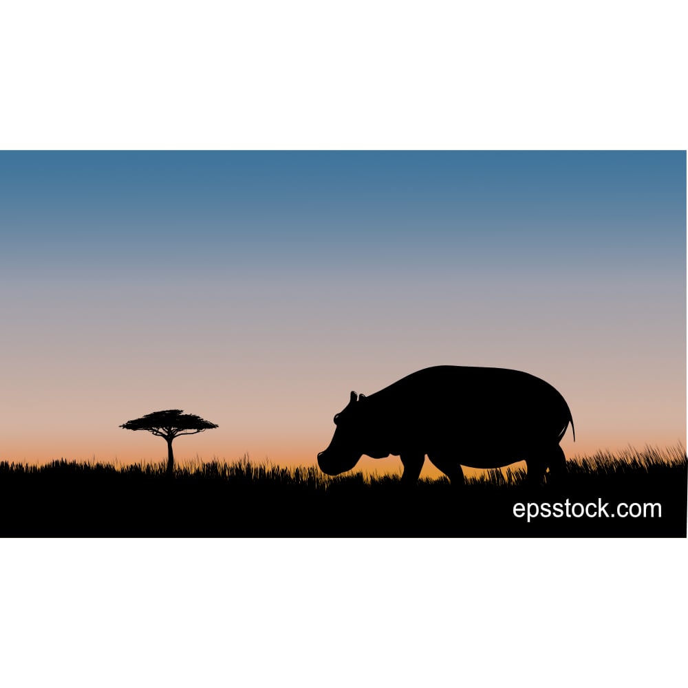 Hippo at sunset, color vector illustration