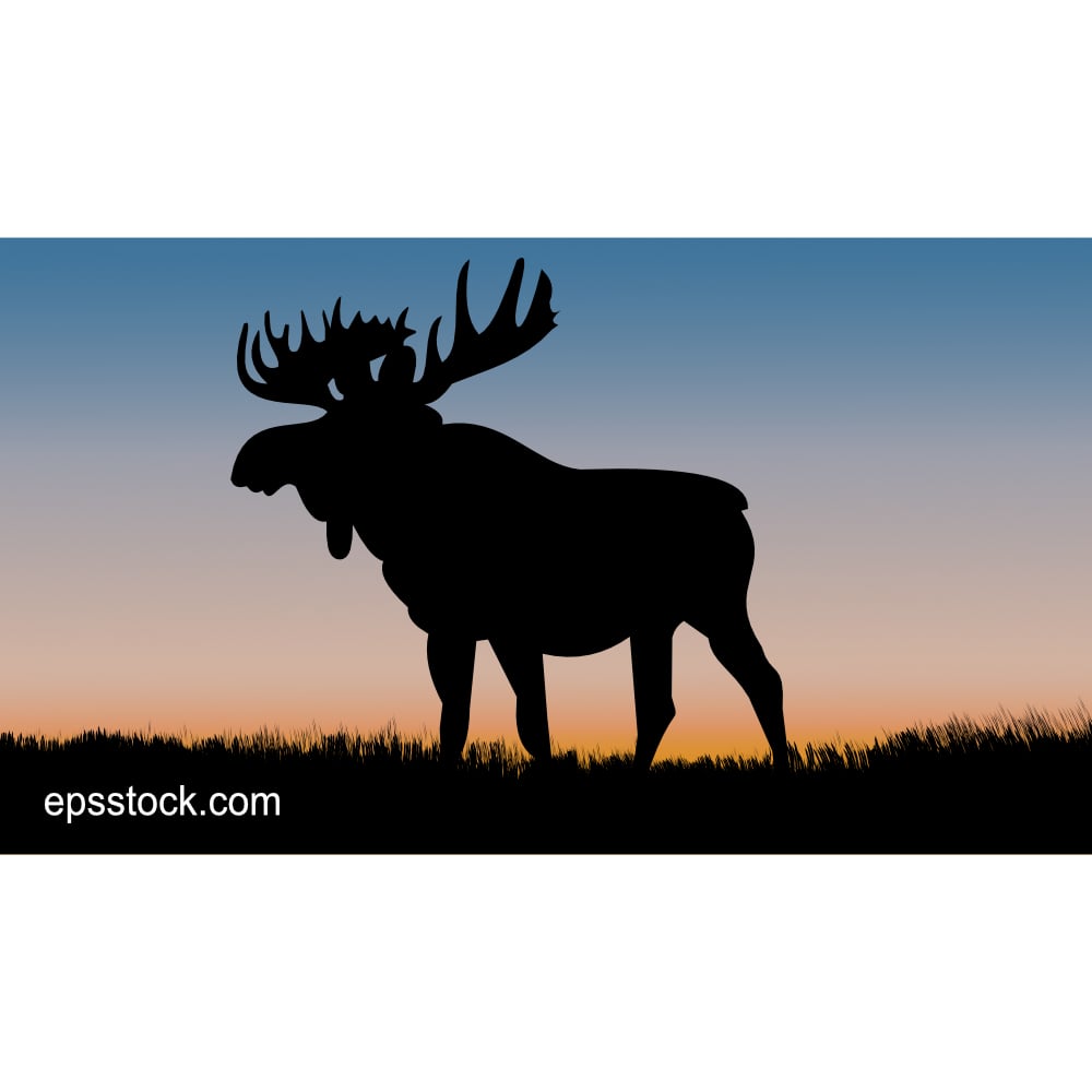 elk at sunset, color vector illustration