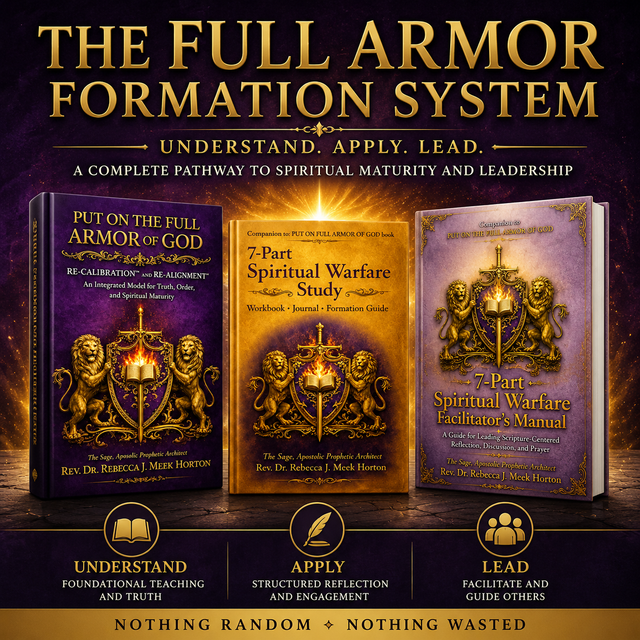 The FULL ARMOR COMPLETE SYSTEM-BEST BUY