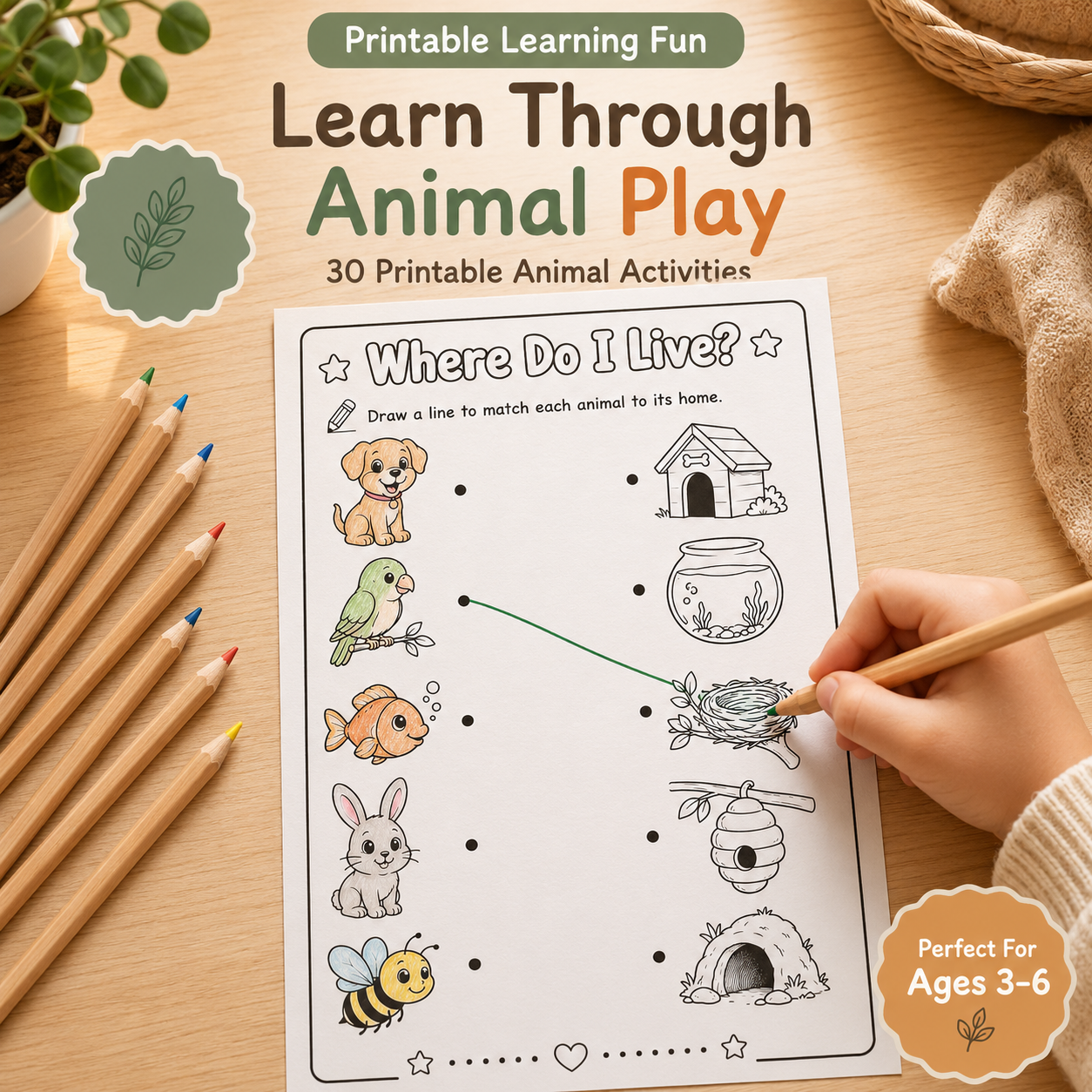 Animal Activities for Kids Ages 3–6 | 30 Printable Worksheets PDF + PNG Bundle