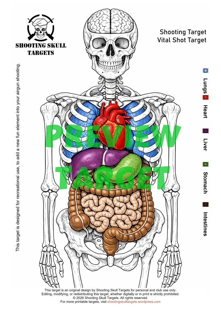 Vital Shot A4 airgun target by Shooting Skull Targets featuring full human anatomy layout, printable instant download shooting target.