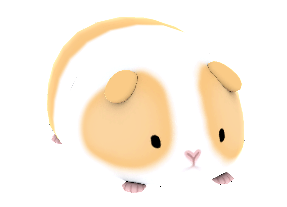 | guinea pig