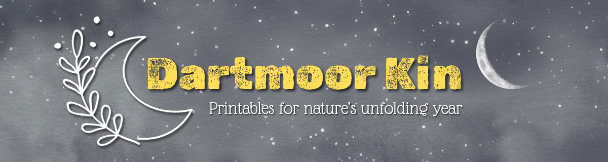 Dartmoor Kin - nature study, wheel of the year, moon study - printable resources
