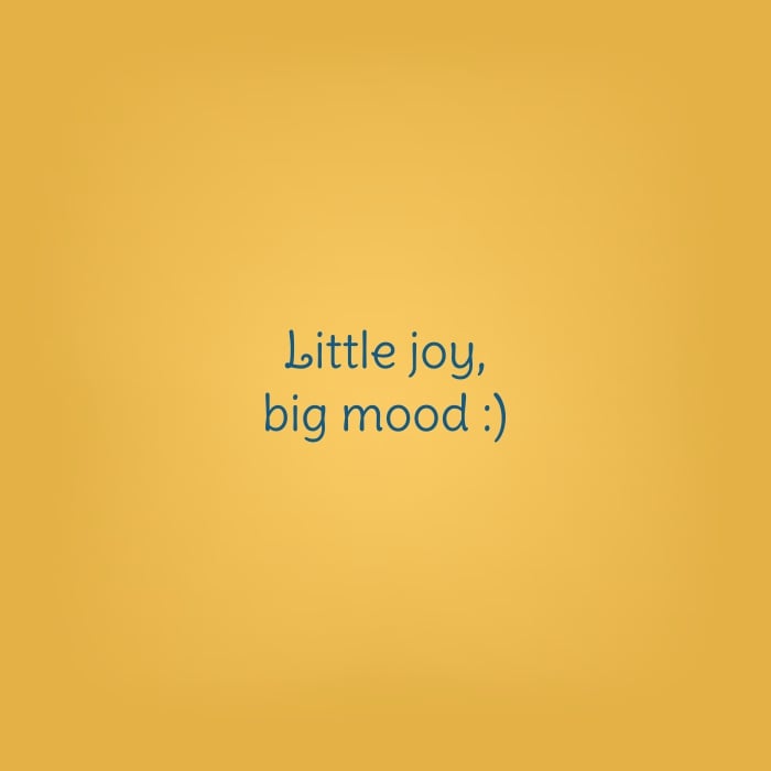 Short Quote - Little Joy Big Mood