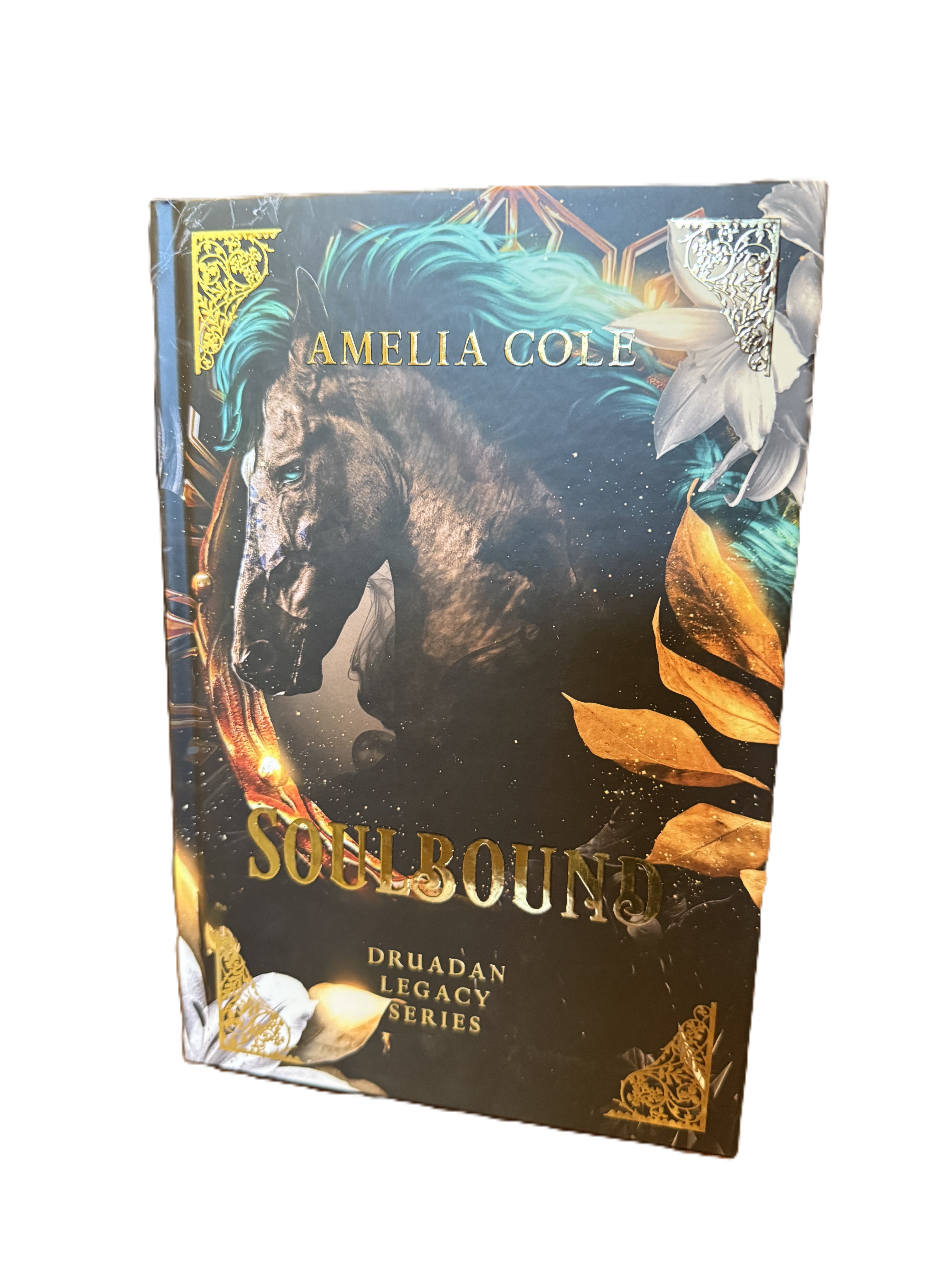 Soulbound Special Edition Hardcover - Payhip