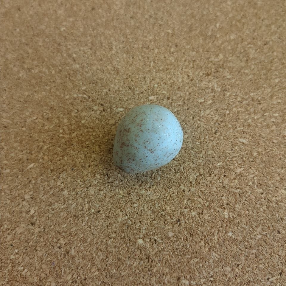 A light blue egg with brown speckles