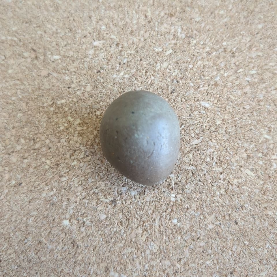 A dark brown egg with a yellowish dusty bloom