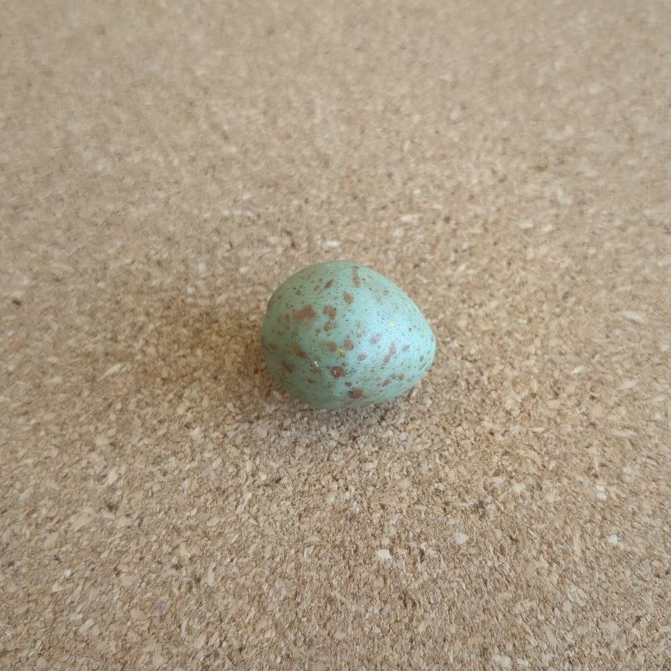 A light green egg with brown speckles