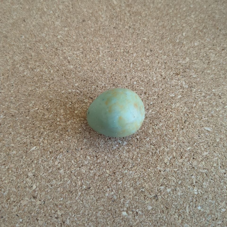 A light green egg with light orange splotches concentrated around the larger end