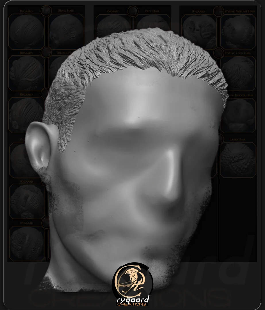 why rygaard hair pack brush - 3DCoat