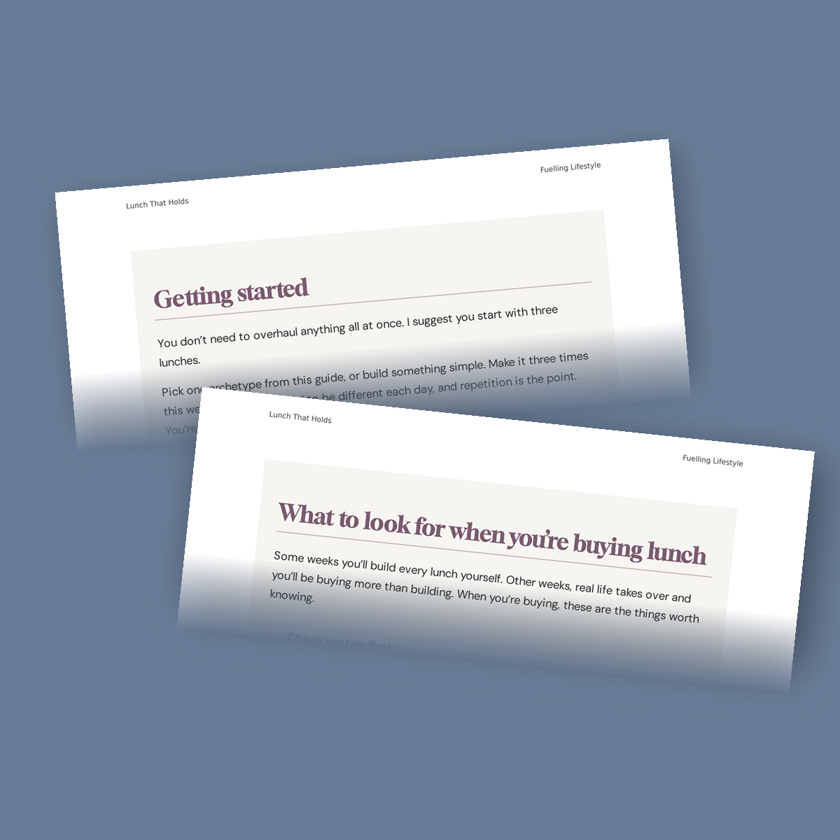 Preview pages from Lunch That Holds showing how to get started and what to look for when buying lunch.