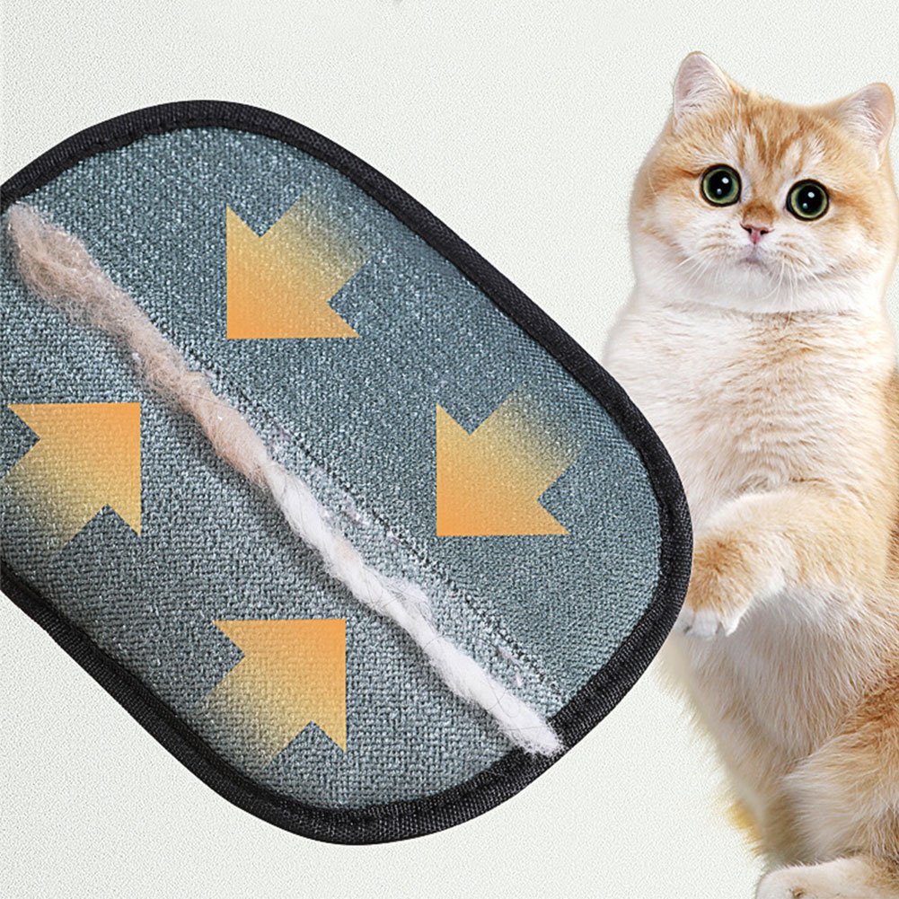 Hand wearing Pet Hair Remover Glove in Black brushing small golden dog on cream blanket dog happy