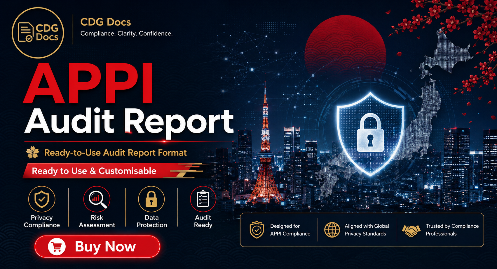 Aapsi Format APPI Audit Report Template | Japan Personal Information Protection ...