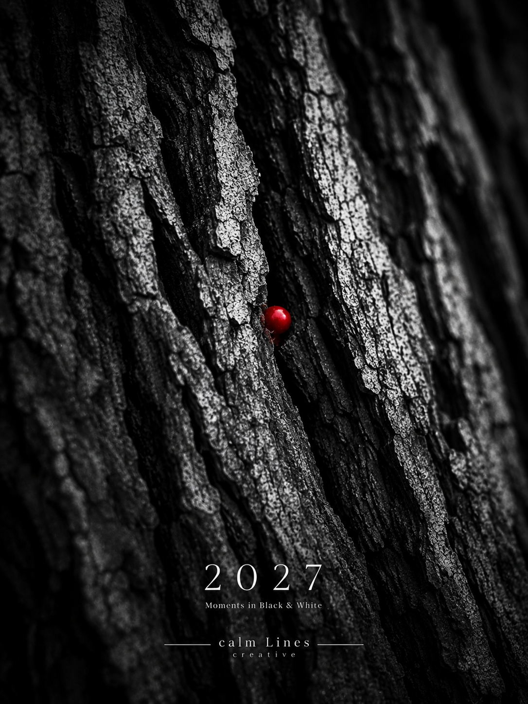 Moments in Black & White 2027 printable photography calendar cover with minimalist black and white design and red accent.