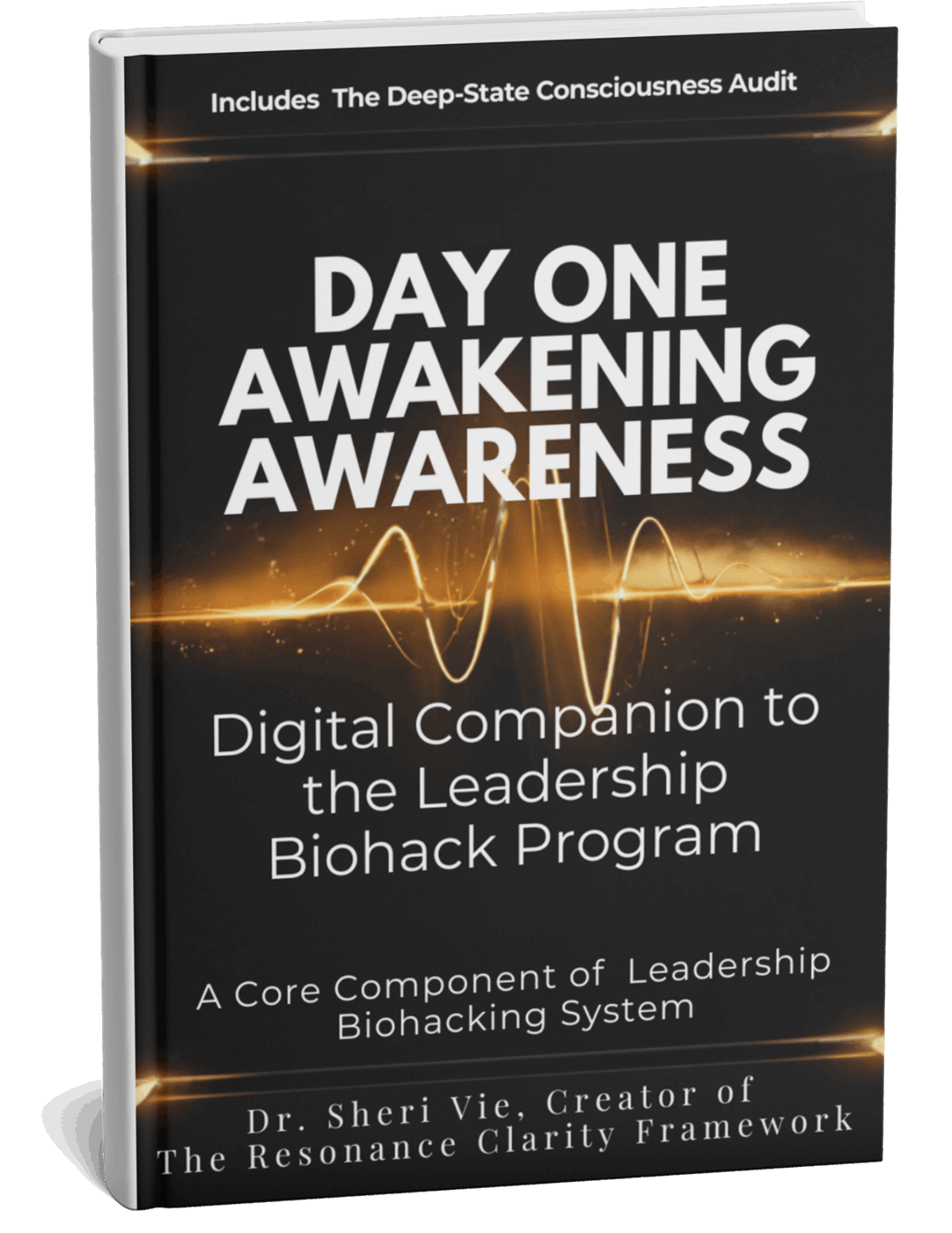 Bonus Day One Leadership Biohack Consciousness Reset For Modern Leaders Workbook