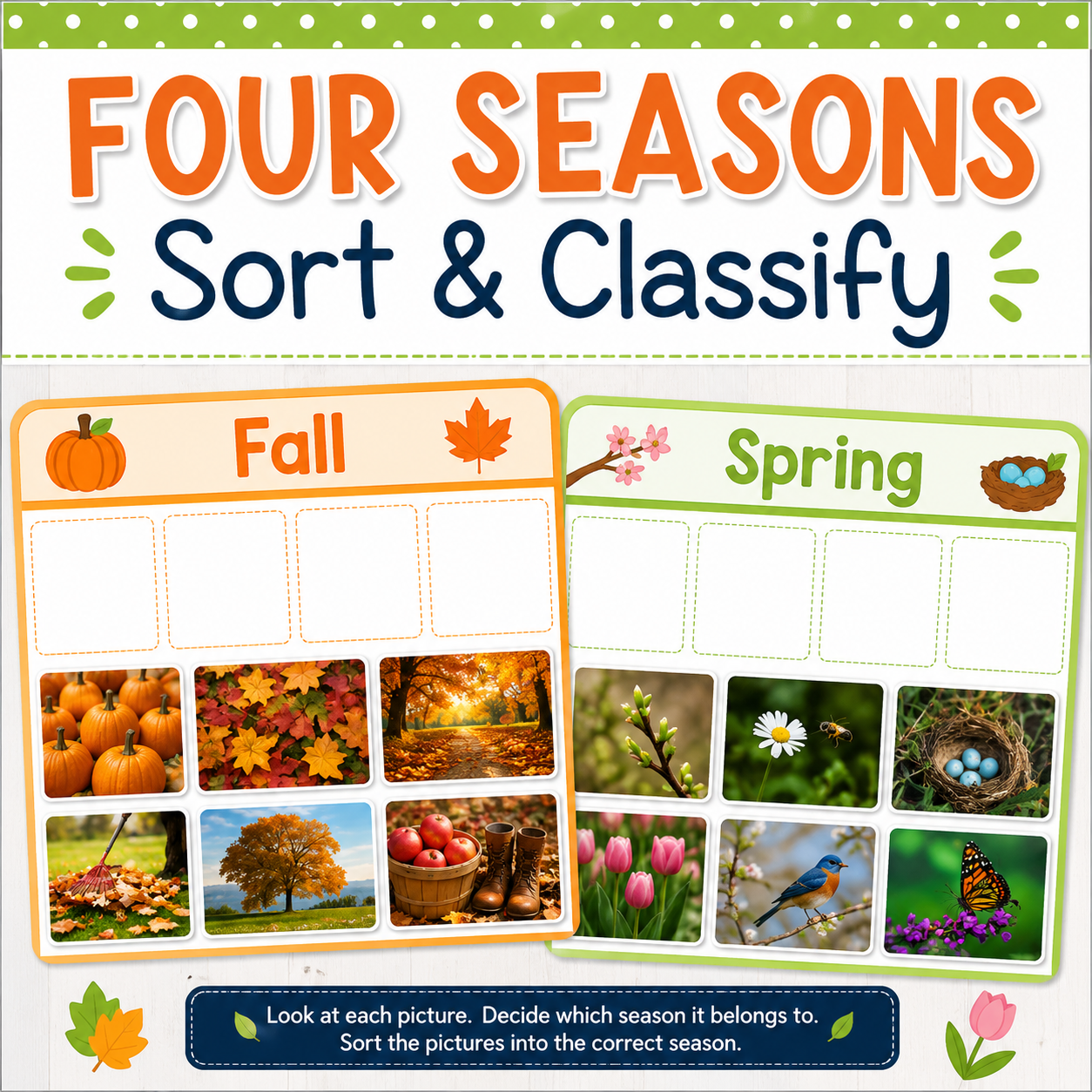 Four Seasons Sort & Classify | Science Center Activity