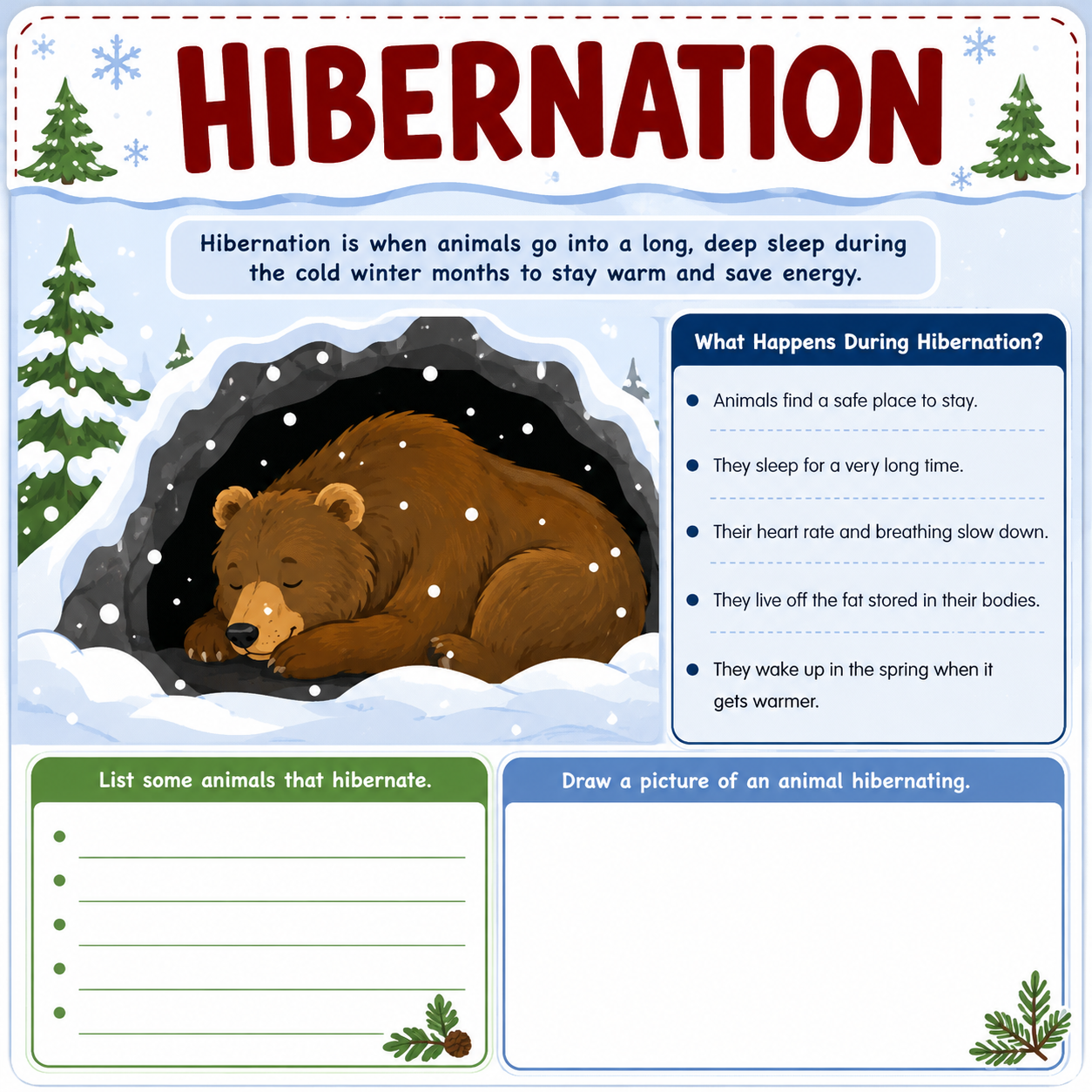 Hibernation Activities & Worksheets | Animals in Winter for Pre-K & Kindergarten