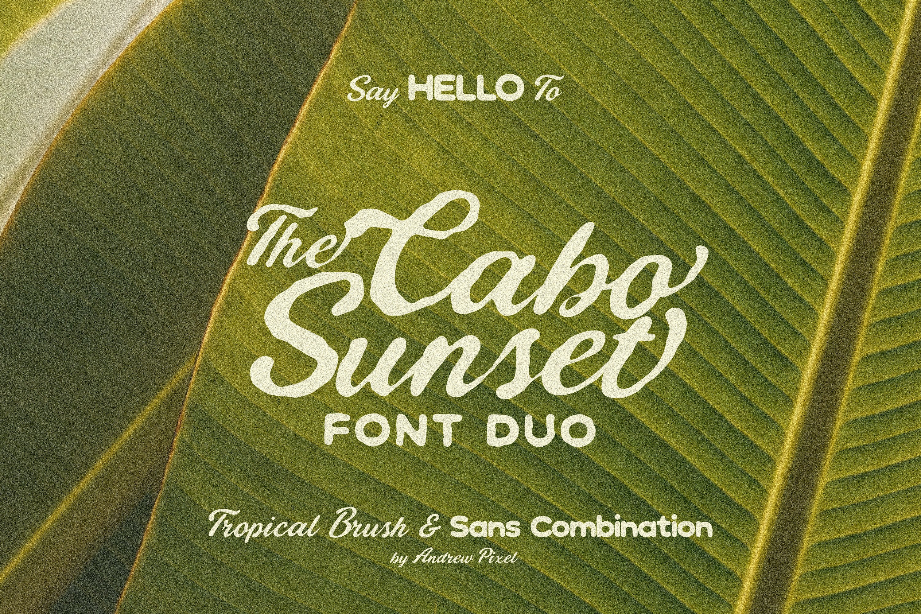 Cabo Lettering Cabo Sunset - Tropical Retro Font