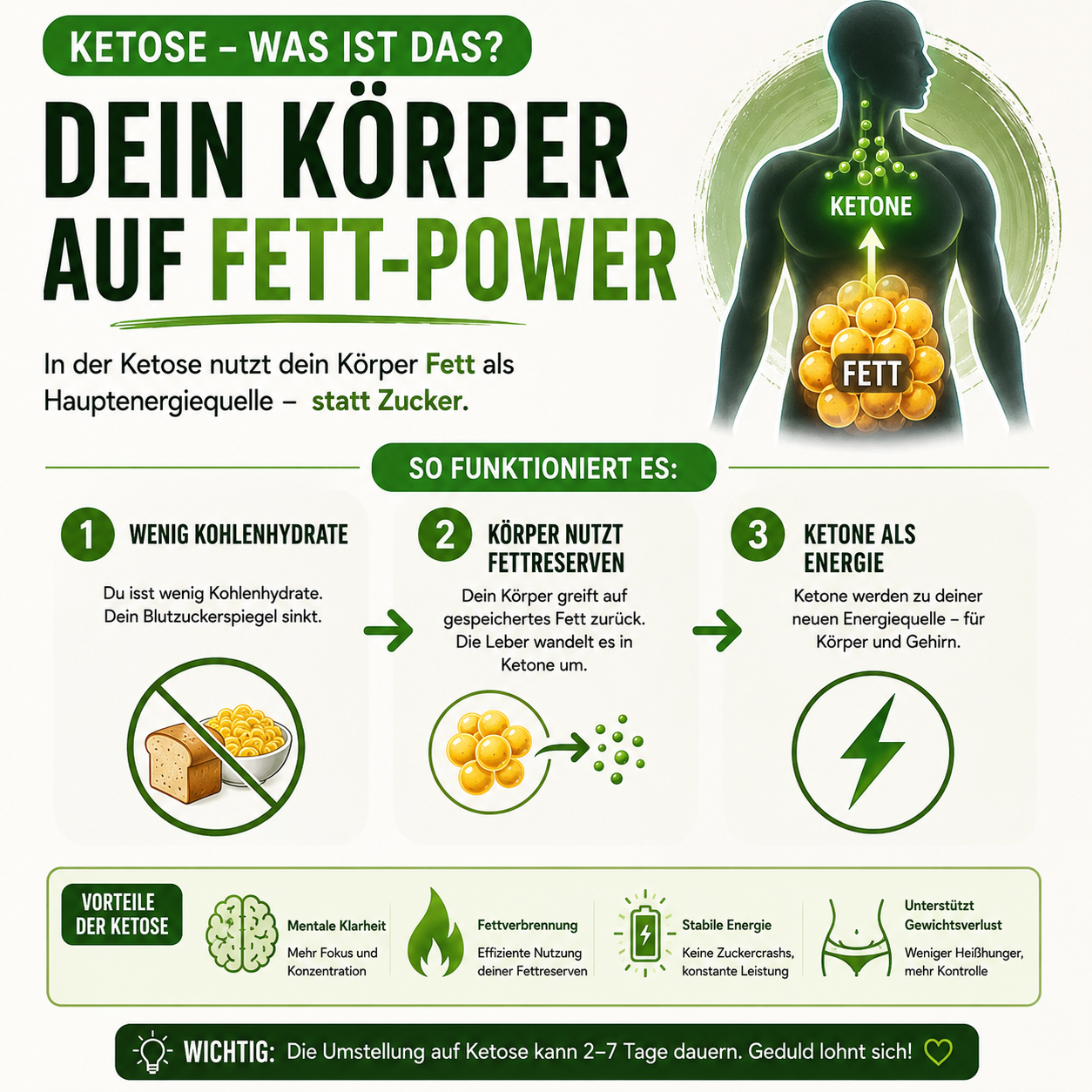Ketose was ist das? Keto für ein neues Leben in 30 Tagen