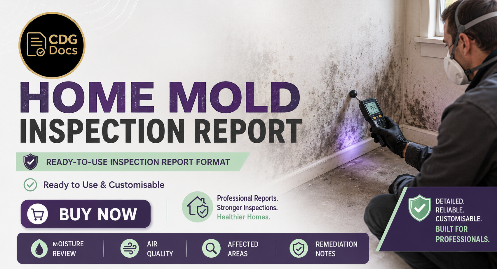 Home Mold Inspection Report Template | Mold Assessment Checklist ...