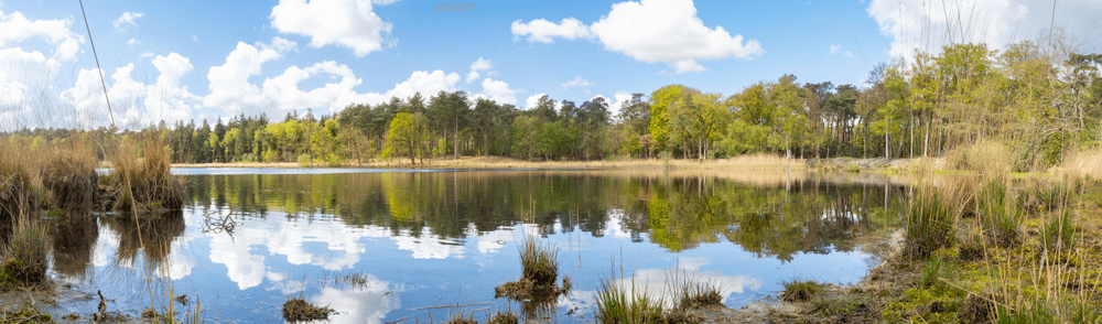 brabantse-wal-wandelroute-zwaluwmeer-natuur