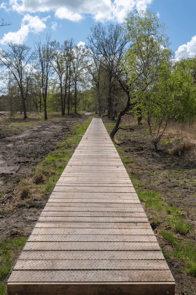 houten-vlonderpad-ossendrecht-wandeling