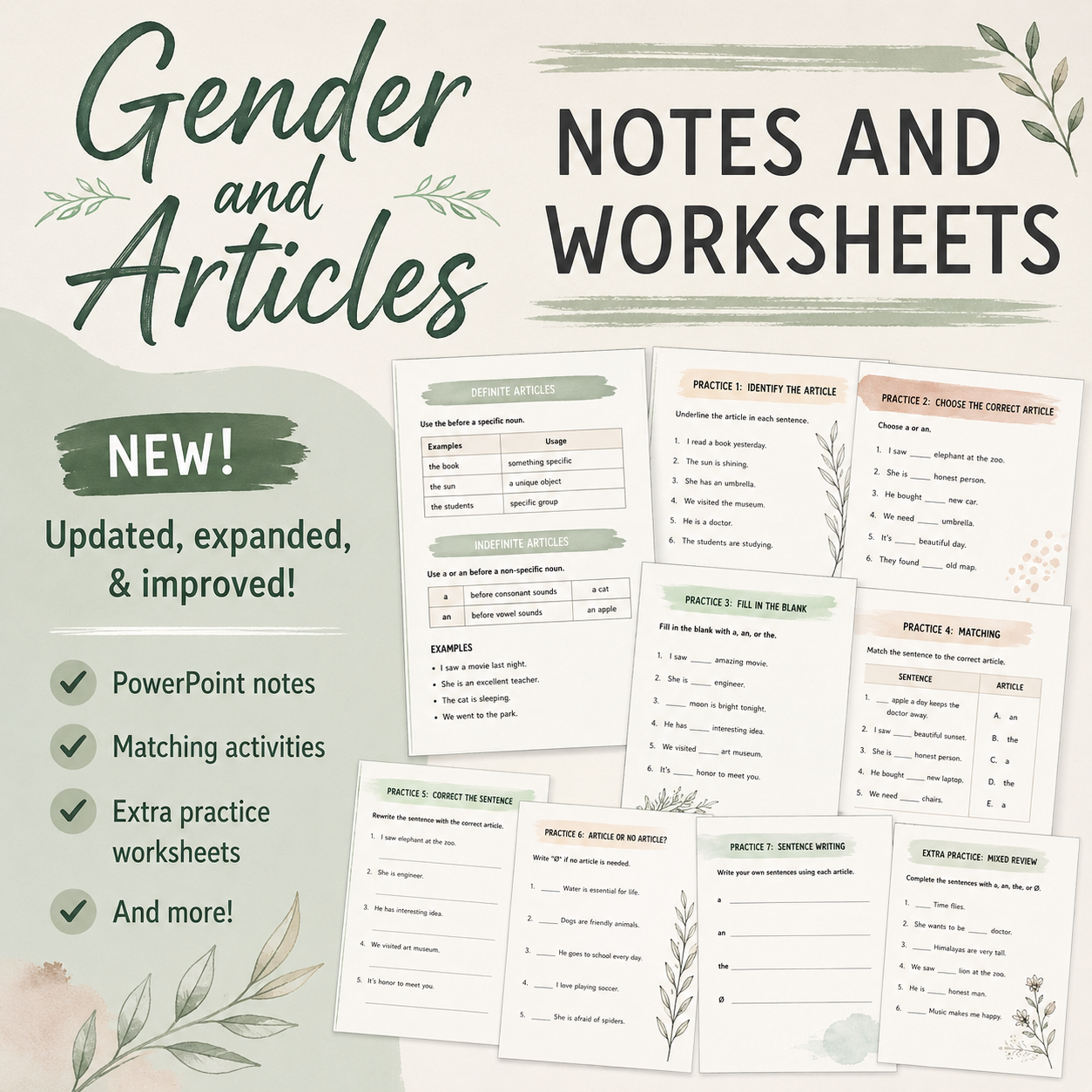 Spanish 1 Gender, Definite & Indefinite Articles | Worksheets & Notes