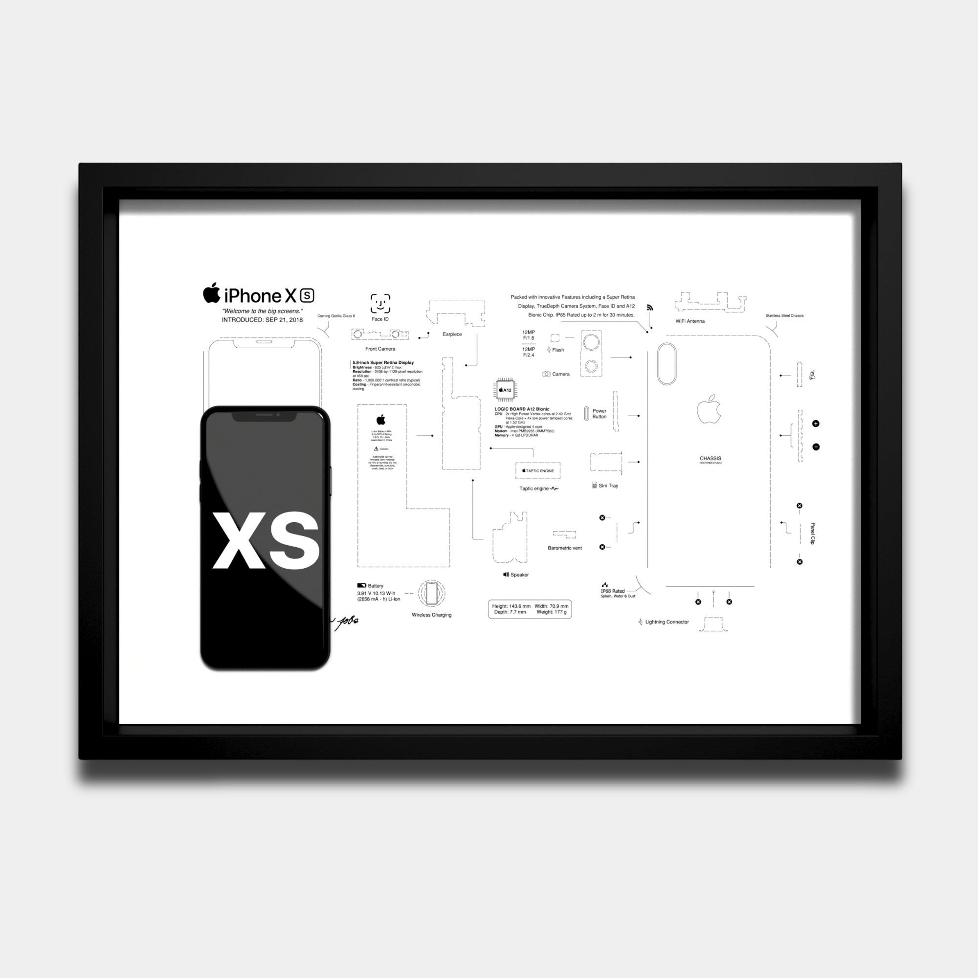 iPhone XS Teardown Template