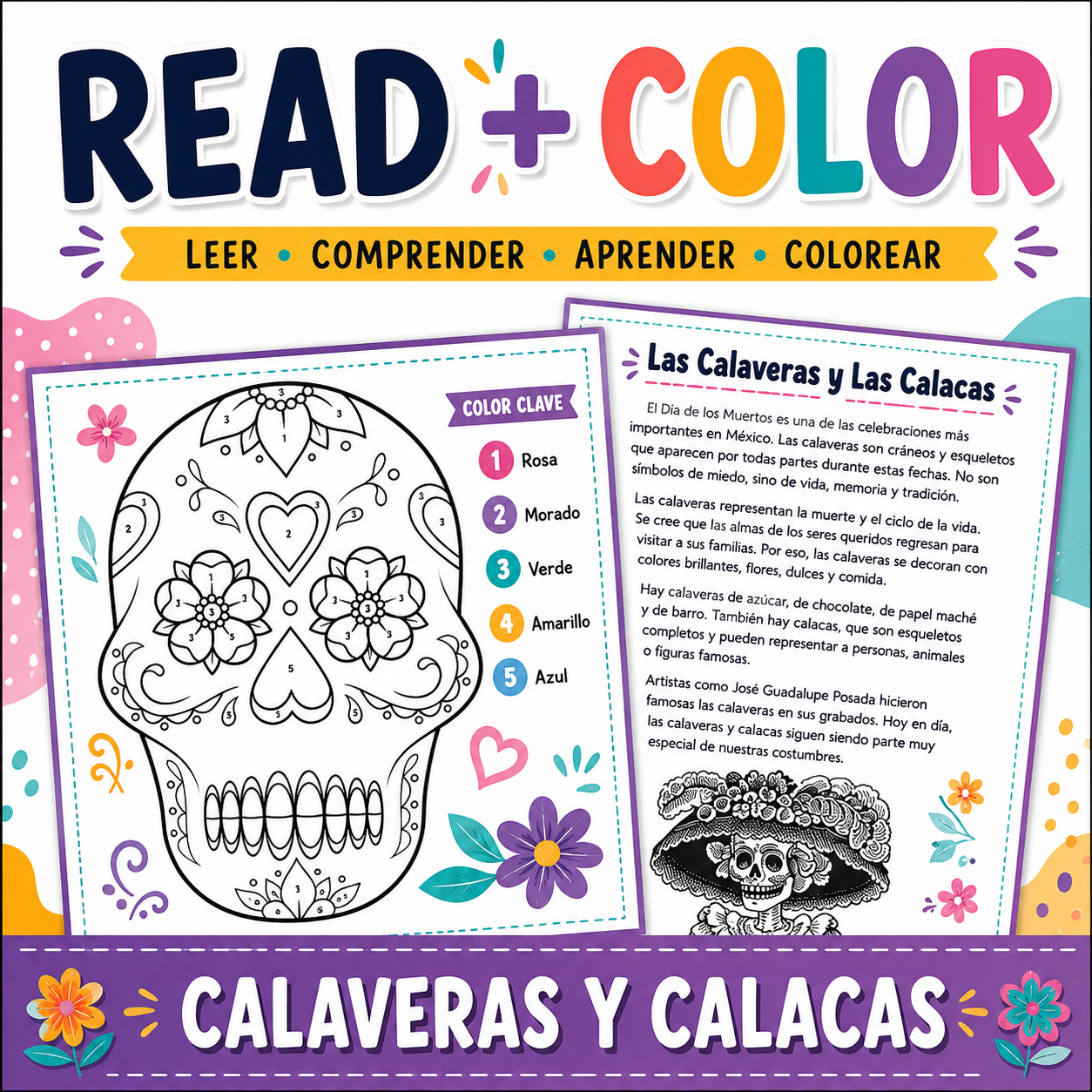 Día de los Muertos Sugar Skull Activity | Spanish Reading & Coloring Sheets