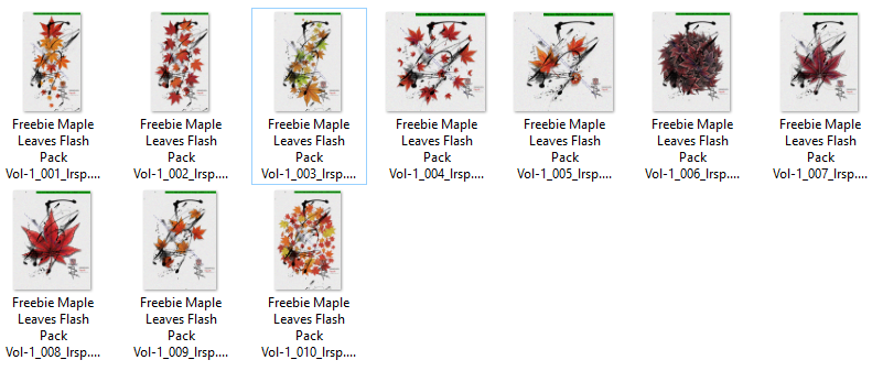 Japanese Momiji Maple Leaf Tattoo Flash Pack