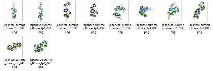 Japanese Asagao Morning Glory Tattoo Flash
