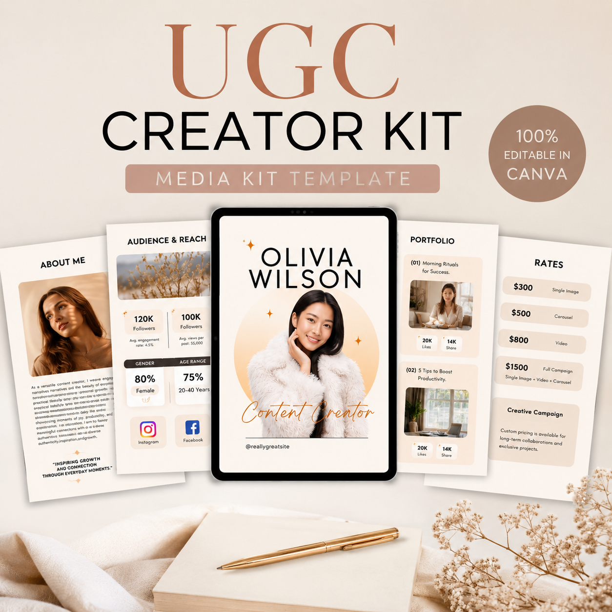 ugc media kit template