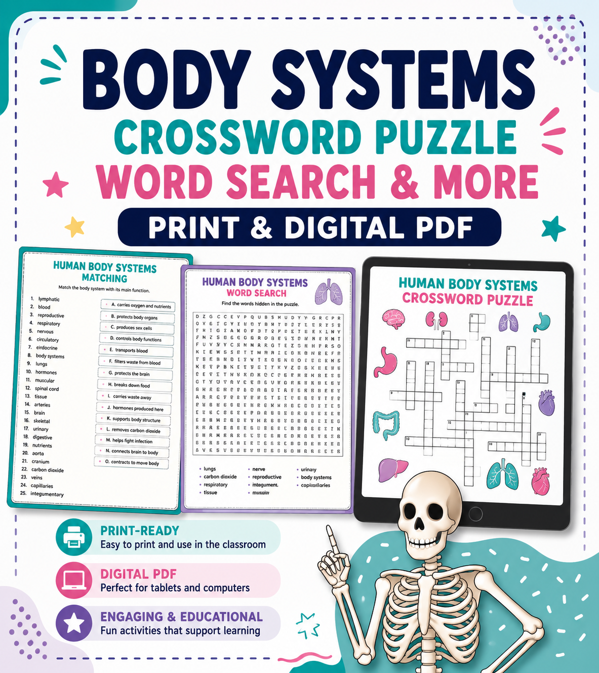 Human Body Systems Crossword Puzzle | Skeletal, Digestive & Nervous Systems | 5th Grade Science