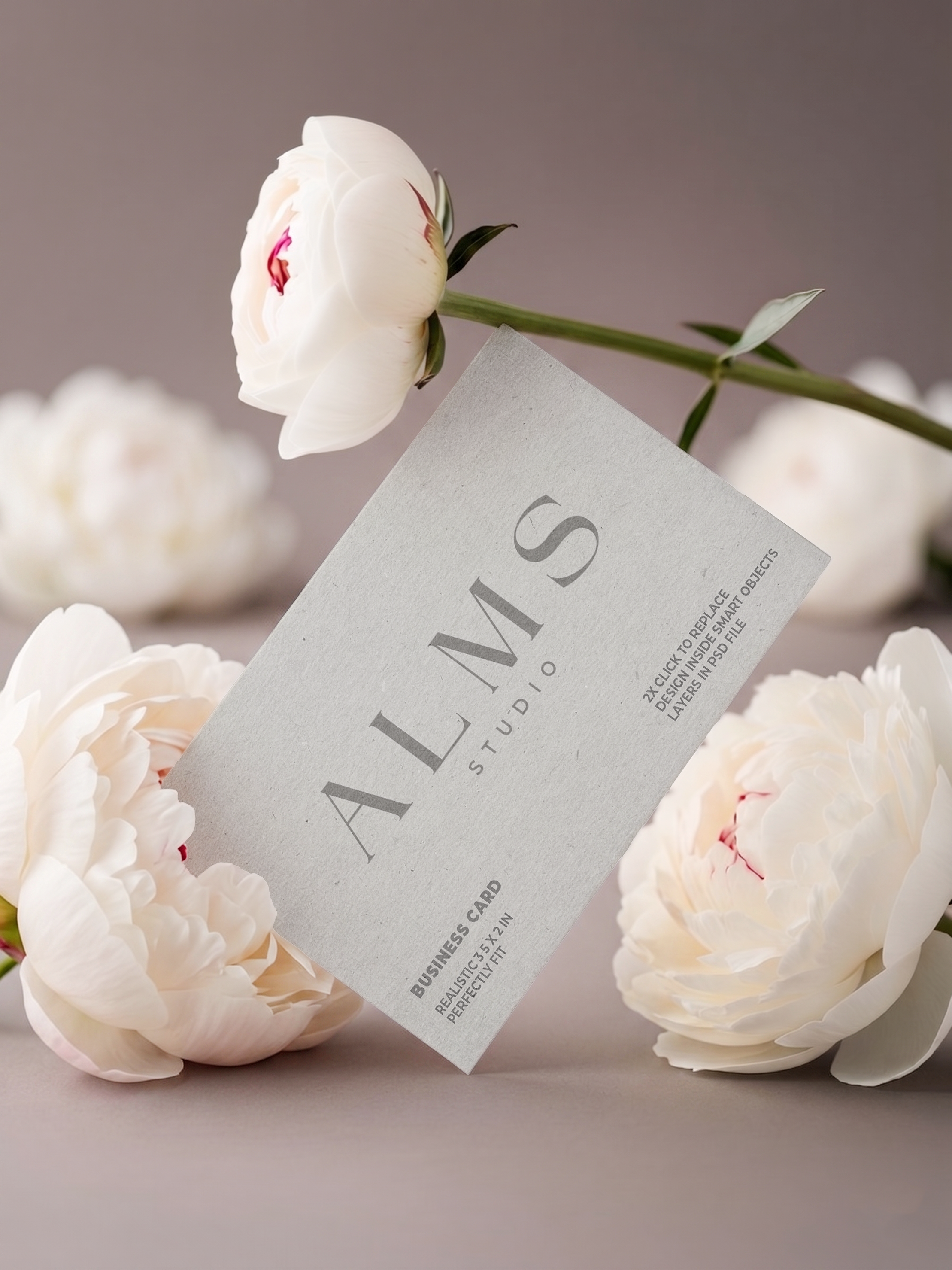 Alms Visual ALMS STUDIO