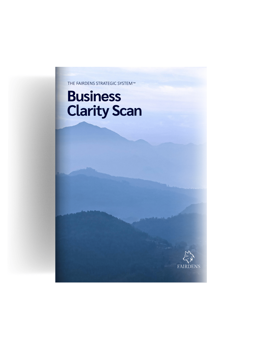 Business Clarity Scan Book