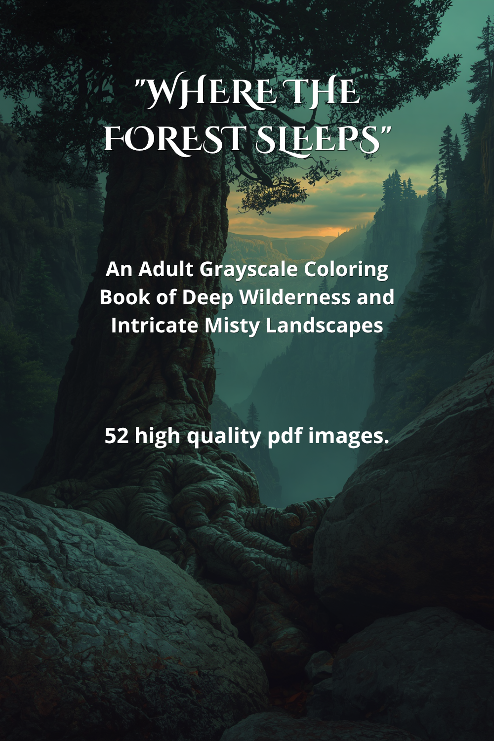 Book cover of "Where the Forest Sleeps" — an adult grayscale coloring book featuring a dramatic dark forest canyon with a massive ancient tree trunk and twisted roots in the foreground, misty mountain gorge and golden sunset sky in the background. Contain