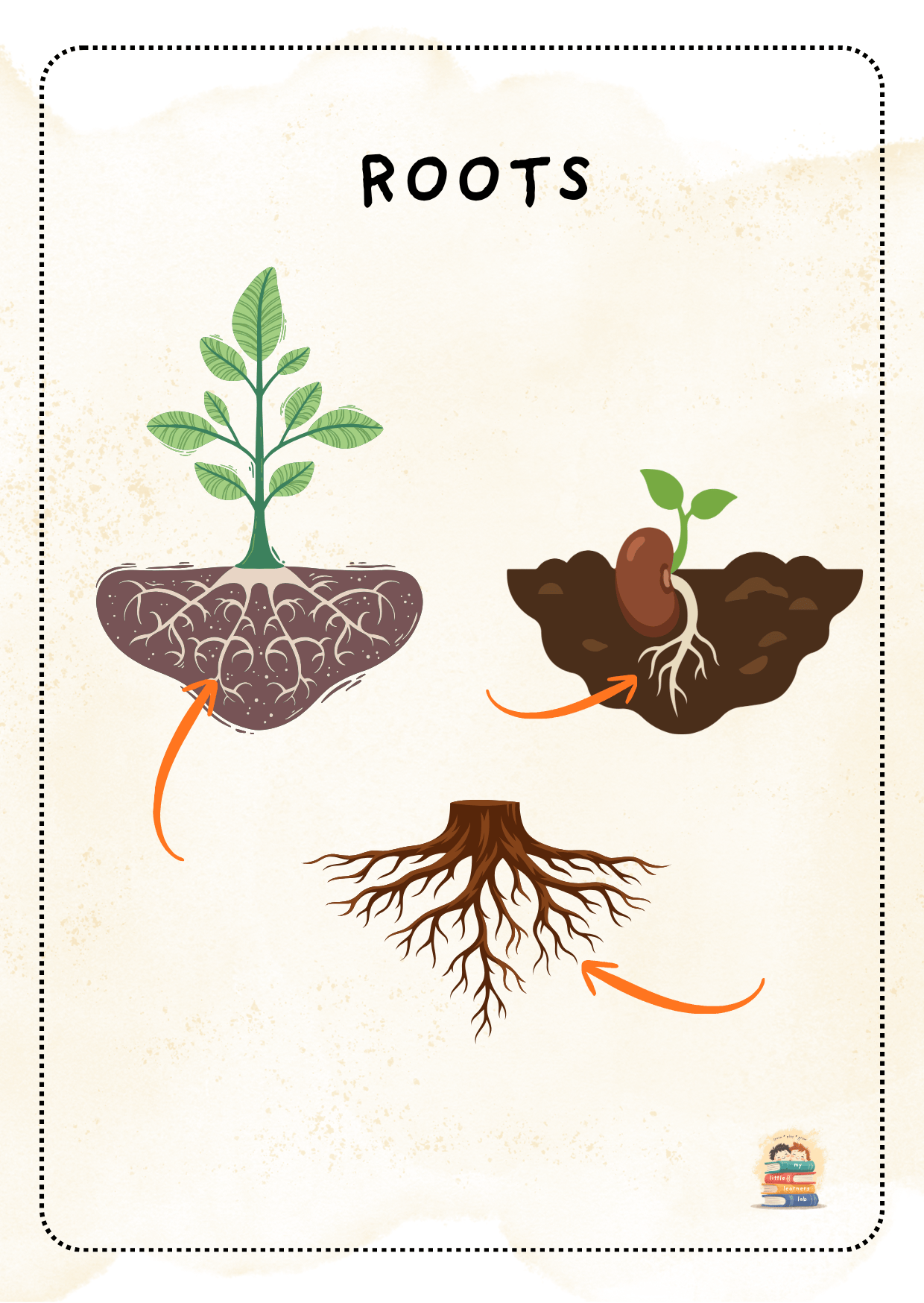 Printable Parts of a Plant flashcards featuring roots, stem, leaves, flower, fruit, and seeds for preschool, kindergarten, and early science learning.
