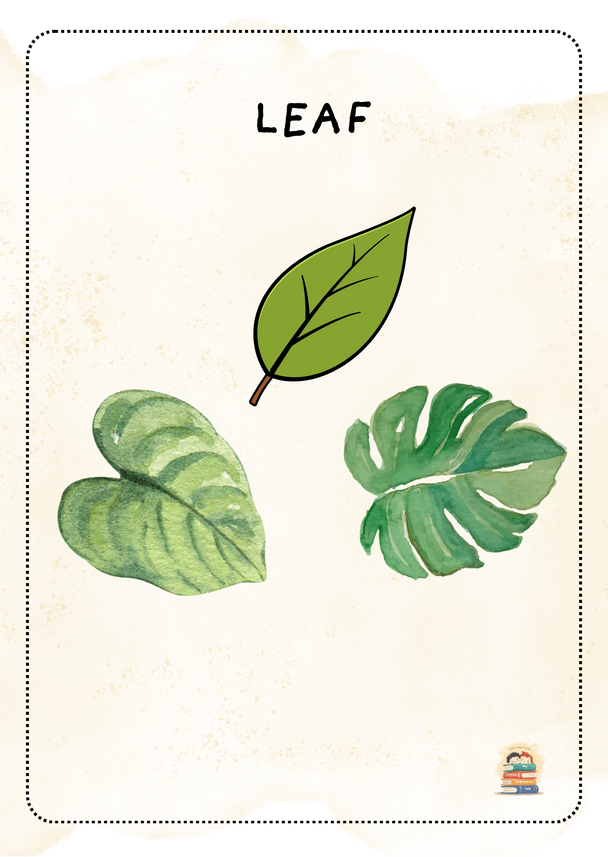 Printable Parts of a Plant flashcards featuring roots, stem, leaves, flower, fruit, and seeds for preschool, kindergarten, and early science learning.